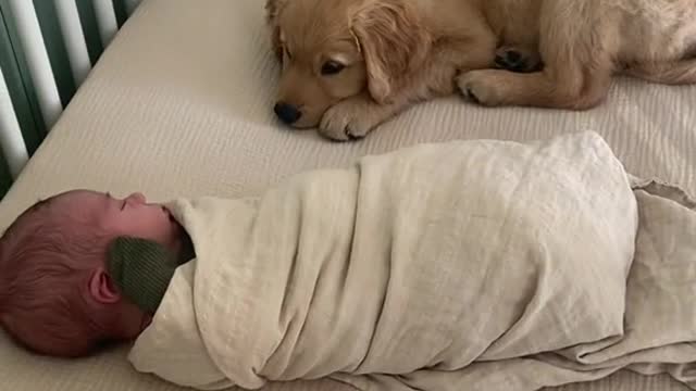 Dream of people, wake up can not speak