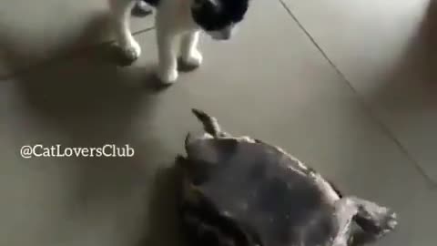 friends don't leave each other in trouble