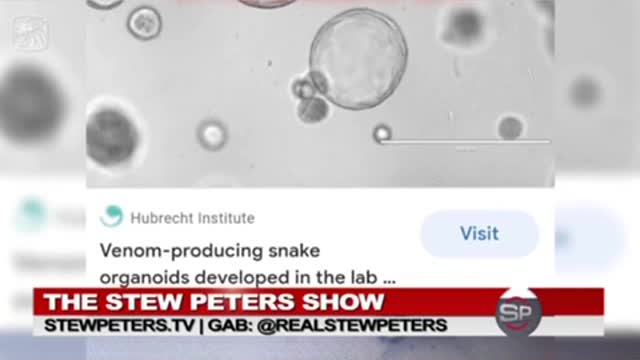 Snake venom peptides in bioweapon?!