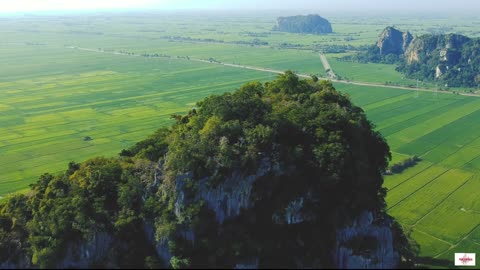 BEAUTIFUL MALAYSIA - SCENERY OF PADDY FIELDS IN PERLIS & KEDAH (DRONE VIEW)