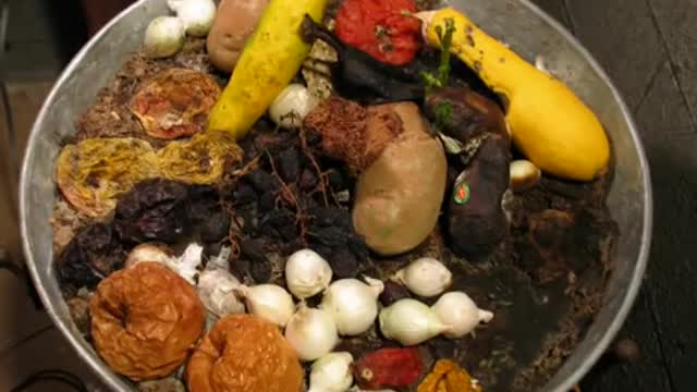 Vegetable and Fruit Decomposition, Time-lapse