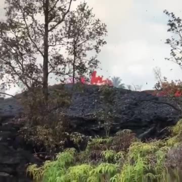 An earthquake of magnitude 4.8 hits Hawaii.