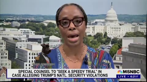 Rep. Stacy Plaskett told MSNBC “Trump needs to be SH0T…stopped!”