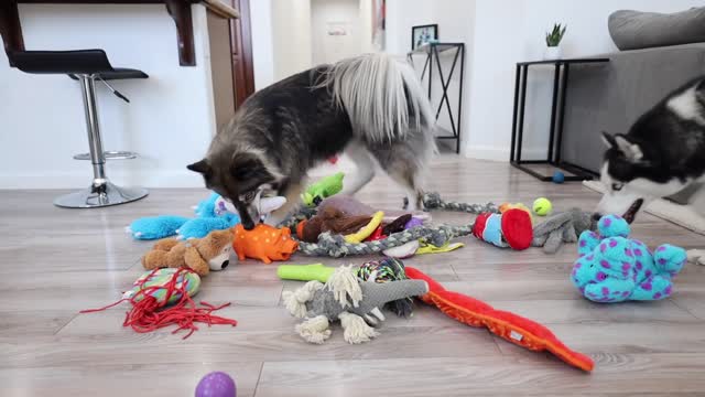 When there's only one toy left