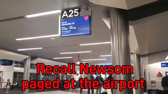 Recall Gavin Newsom 🤣🤣🤣