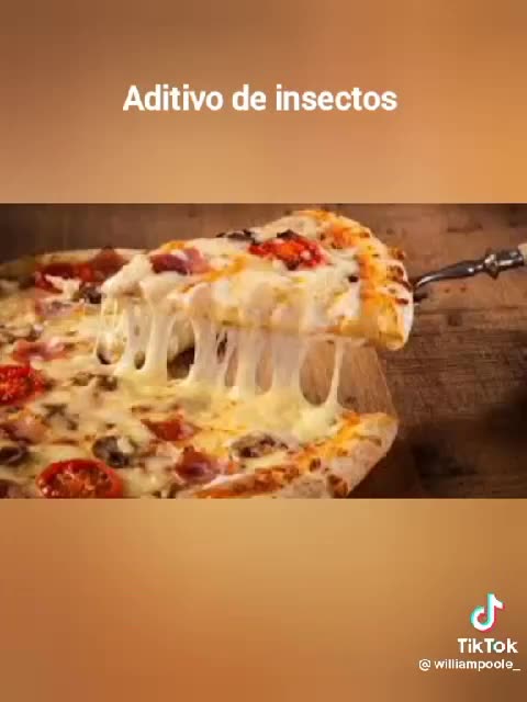 Insectos comestibles la mentira de la agenda 2030 nuevo orden mundial nom nwo 19-COV