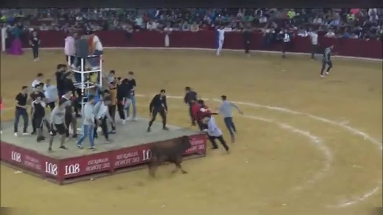 The Funniest Bullfighters in the World. (Awesome Bull fighting Competition)