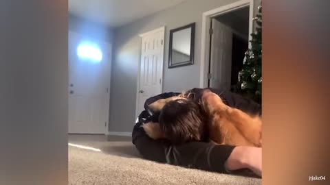 Cute Dog Can't Stop Hugging Their Human - Cute Animal Show Love