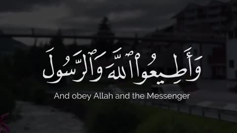 Quran Recitation