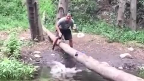 Clumsy dogs #shorts #viral #shortsvideo #video
