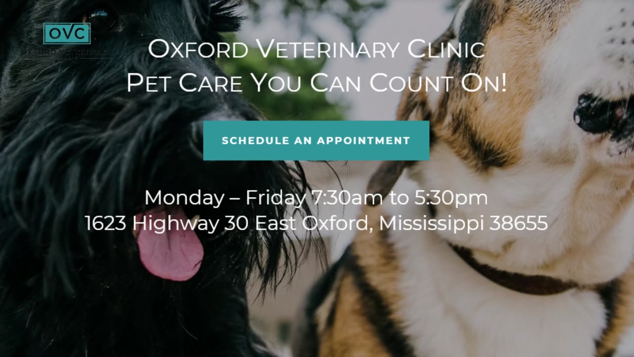 Best Vet in Oxford, MS