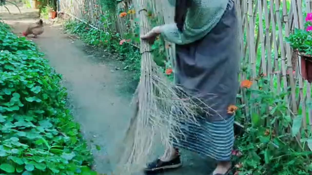 Enjoy beautiful nature with rural life