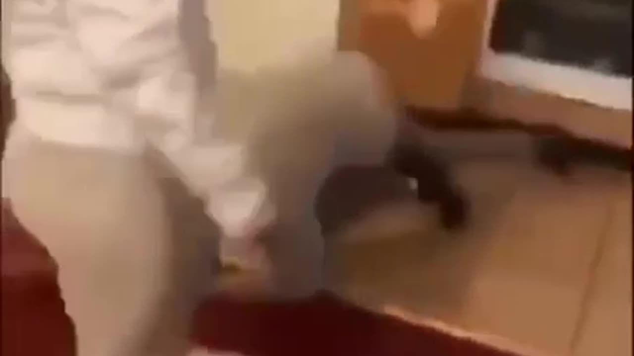 chick knocks a dude out.