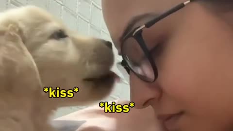 Woof you too hooman