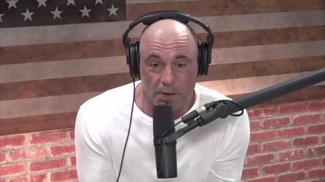 Sex Researcher Dr Debra Soh and Joe Rogan Discuss Porn Addiction