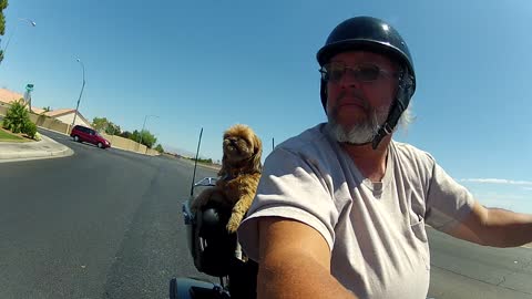 Izzy Enjoys A Bike Ride