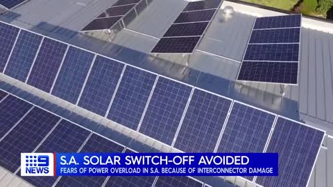 shut down _ 9 News Australia
