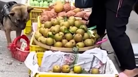 SHOPPING