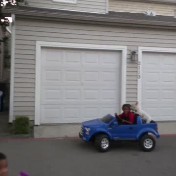 Bentley, el cachorro, emocionado por salir a pasear en auto