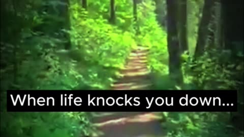 when life knocks you down