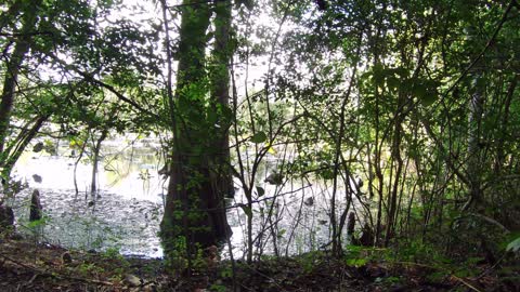 Sheldon Lake State Park & Environmental Learning Center John Jacob Observation Tower views