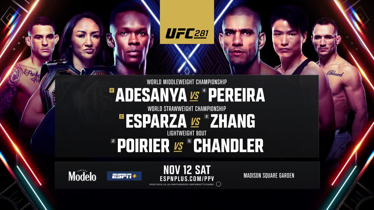 UFC 281: pre-flight press conference hightlights