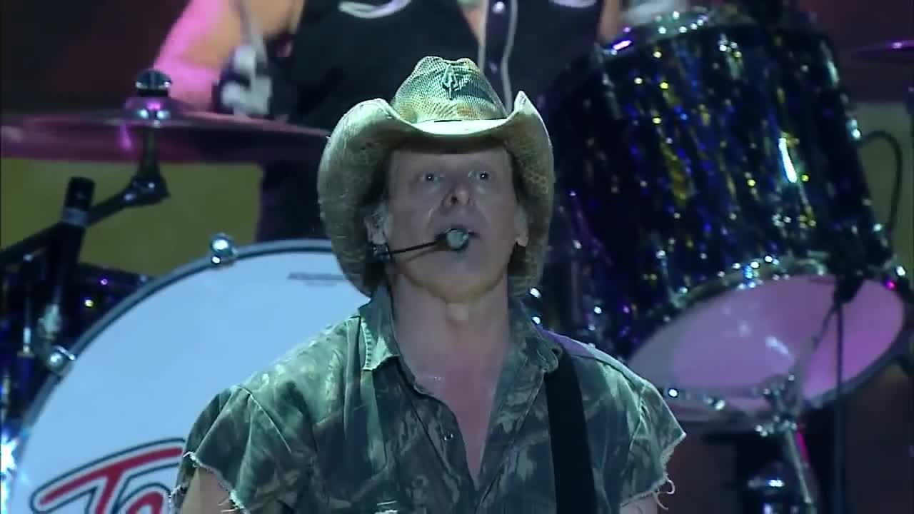 Cat Scratch Fever -- The Motor City Madman