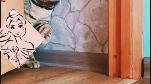 Furry Weasels and Fidgets