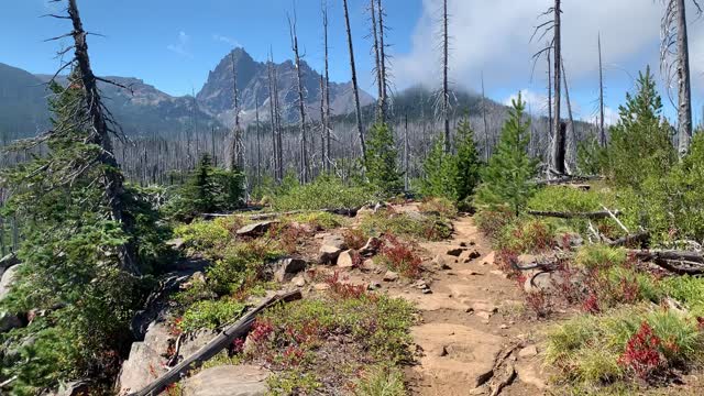 Central Oregon - Mount Jefferson Wilderness - Views of Beautiful Basin