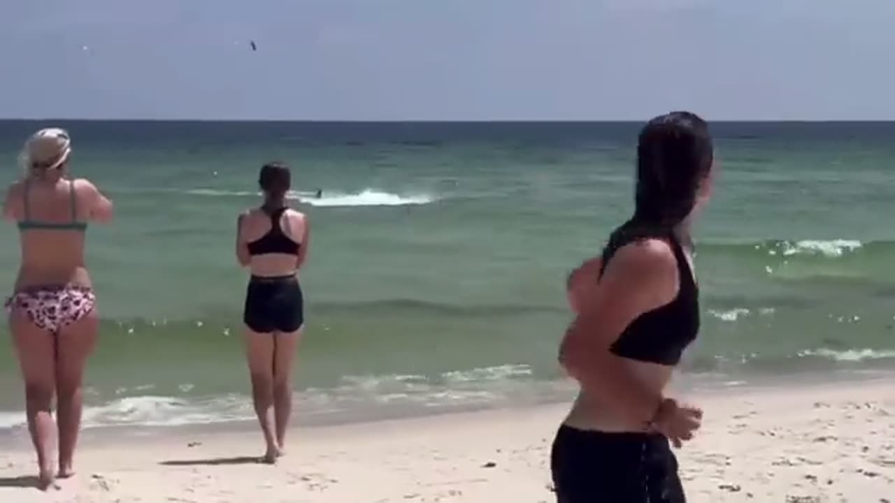 Shark sighting off the coast of Navarre, Florida sent swimmers frantically scrambling for safety.