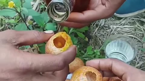 हे प्रभु श्री जगन्नाथन
