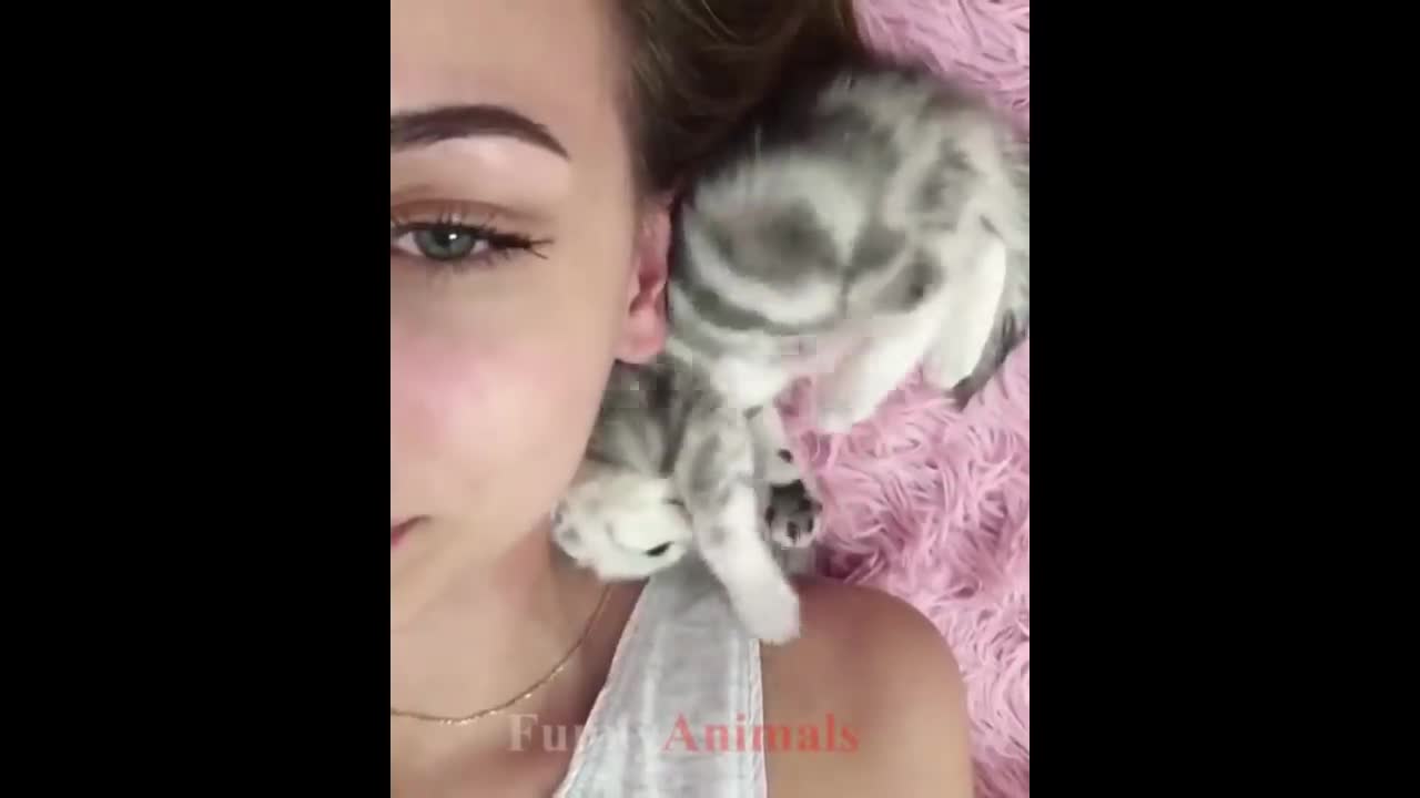 So many cute kittens videos compilation 2018