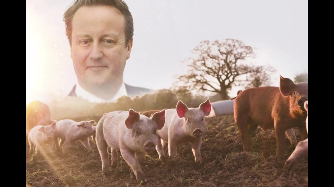 Return of the Pig Farmer