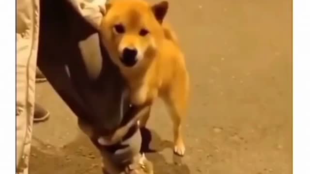 act brave
