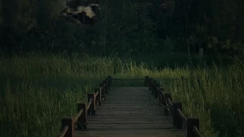 Nature is love
