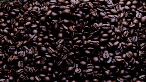 Coffee Beans