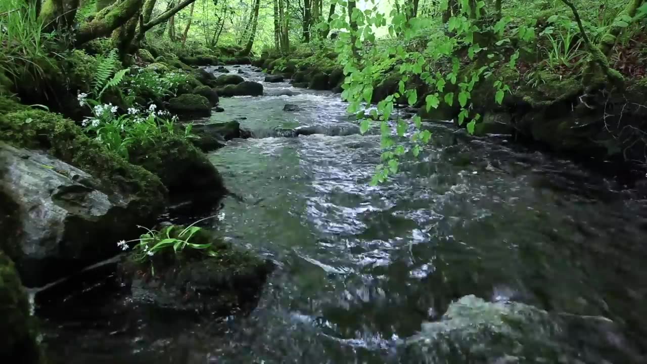 Nature Sounds of a Forest River for Relaxing-Natural meditation music of a Waterfall & Bird Sounds