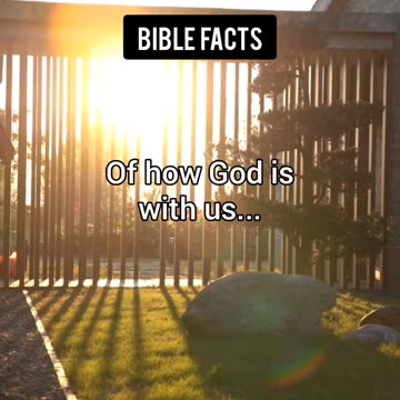 Light | P3 | The Astonishing Details of Creation Unveiled!