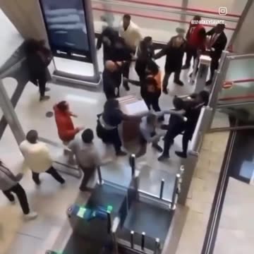 Illegal Aliens riot at a Paris Airport.