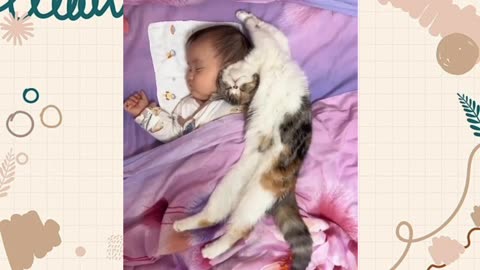 Funny cat comedy with baby