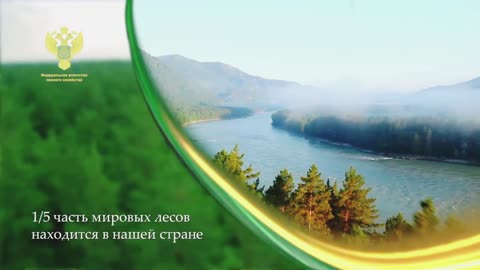 🌲🇷🇺 Леса нашей Родины: Символ силы, мудрости и обновления! 🌳🌍 - Las - Tesoro Nacional de Rusia! 🌳💎