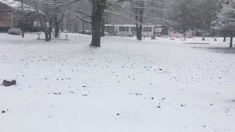 Snow walk Michigan