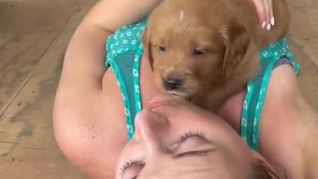 iwouldgetabsolutelynothingdone@PawPalsYoga
