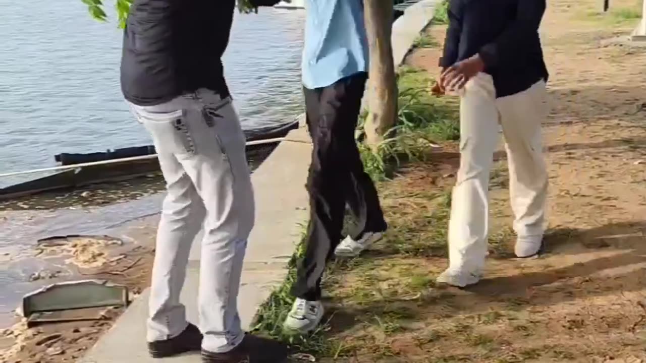 funny clip