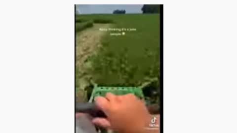 Farmer whistleblowers talk about the government paying them to destroy their crops