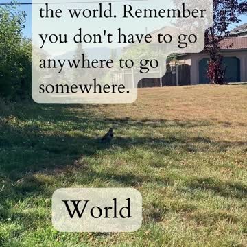 10 of Cups to King of Pentacles 2022-09-28