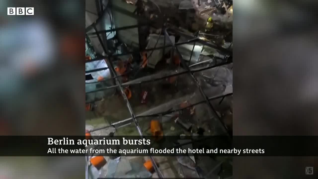 Giant Berlin hotel aquarium with 1,500 fish explodes