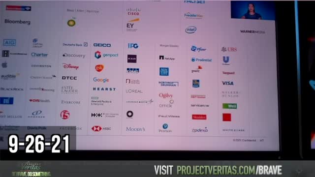 footage exposes Coqual's Diversity and Inclusion training program being pushed by Disney.