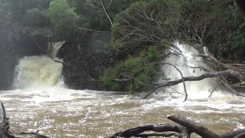 Haiku, HI — Twin Falls Maui #1