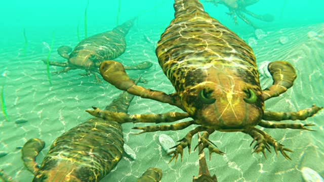 Deadly sea animals you'd be glad are extinct